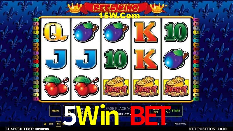 Welcome Bonus 5Win Bet